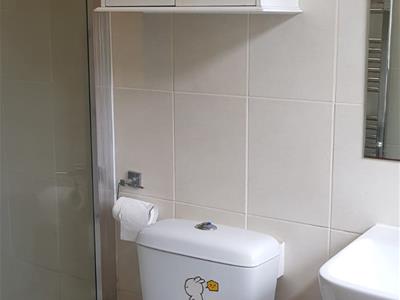 Picture 13